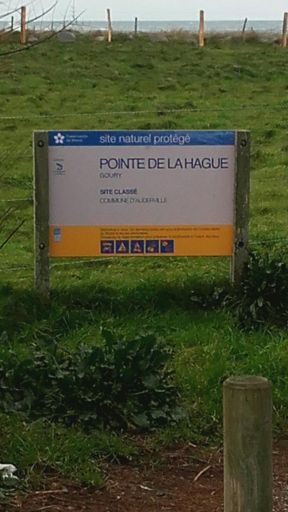 Pointe de la vague avec le vent