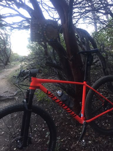 Bottle cap fun👊🏼