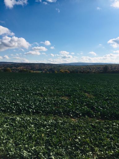 Immer wieder schön die Sicht von Sichelnstein