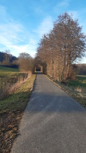 Schinderhannesradweg in der Sonne.