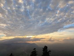 rando  Colbery Kohlberg Donon