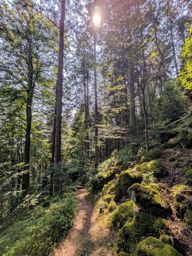 Tour Ribeauvillé Taennchel