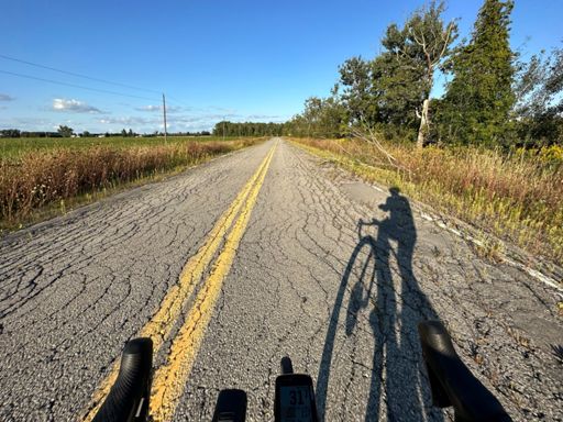 This is what the roads will be like after the apocalypse.  Breaking up and overgrown.