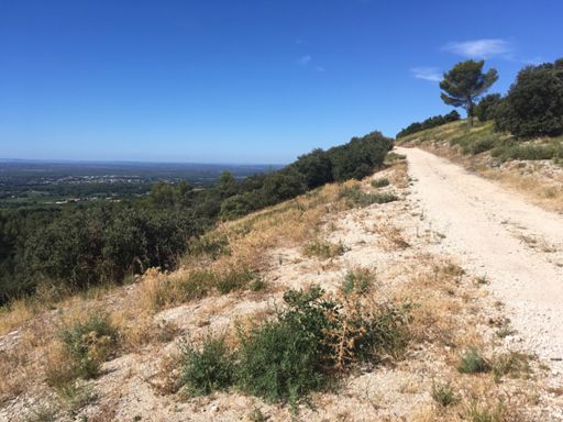 Vue de la Lambesc depuis la chaîne des costes