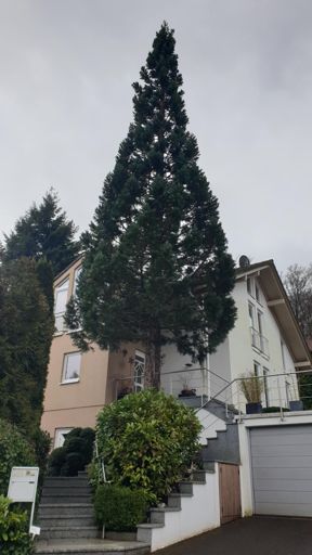 Schmitten_ID23807_BM_Am Weißen Berg 39