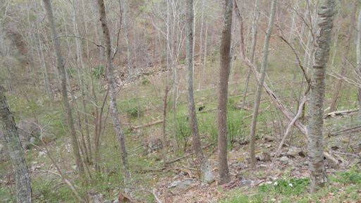 This is the uncropped pic