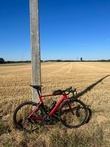 Il a de bons restes ce mulet