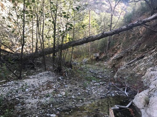 The bushwhacking begins! It mostly consists of going up the river bed.