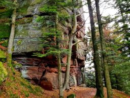 Autour du col de la Crénée