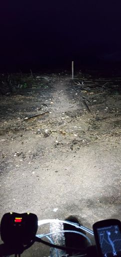 The start of Hochi man👉