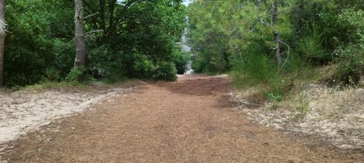 Piste de ski d'Arcachon au fond.......🌲