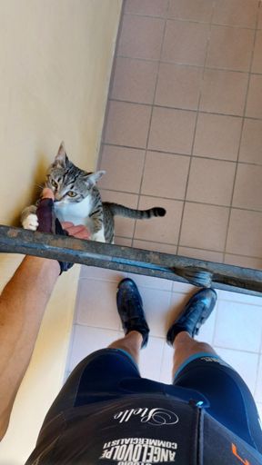 Chi mi aspetta a casa?😍