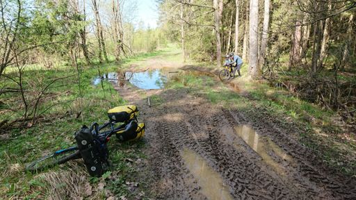 Воды в лесу еще много