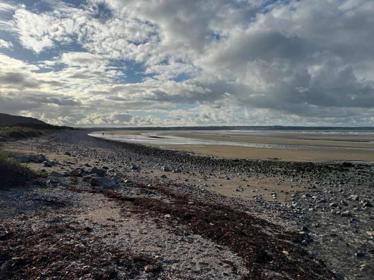 Beaumaris half (nearly) 19.7 km Running Route on Strava