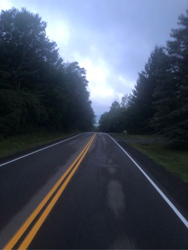 My Pleasant descent, Cayuga in the distance