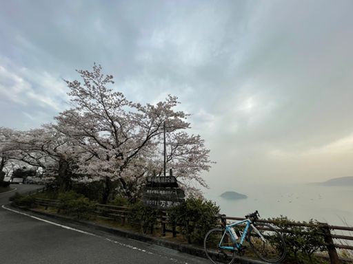 桜見たいけど、視界には星が沢山見える（笑）