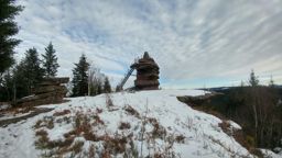 De la Hallière au Coquin