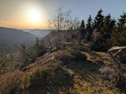 Pierre-piquée Derzognier