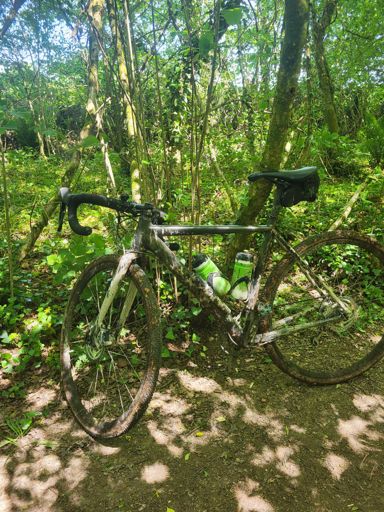 There is a bike somewhere in this photo