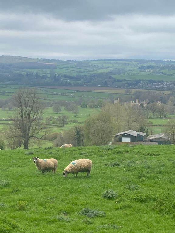 & Back 60.0 mi Cycling Route on Strava