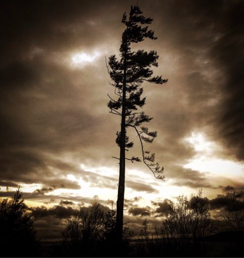 .............................rider on the storm............................