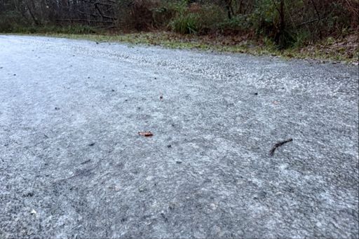 Sheet ice over the fire road. Sketchy. 
