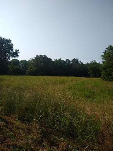 I was deer hunting this spot about 17yrs ago when to date the biggest buck came out. I shot 3 times when I left he was still eating grass. I never could get that Savage 30:06 sighted good, I still have though