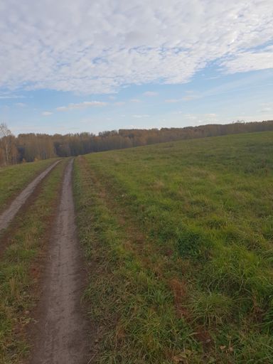 А трава то зеленая!!