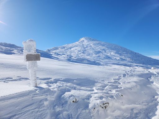 Monroe from the LOC hut.