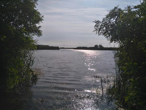 Где-то "между мостами"