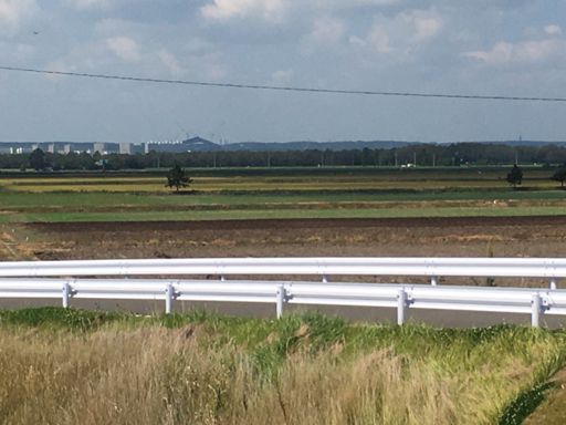 ボールパークを望む