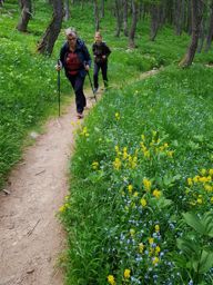 Rando fleurie autour du lac d’Allos