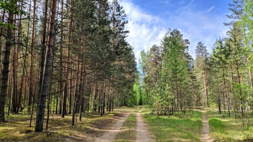 Тверские грунтобаны  как правило предполагают  несколько вариантов проезда.