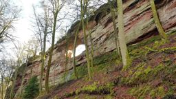 Rando-trail Waldeck