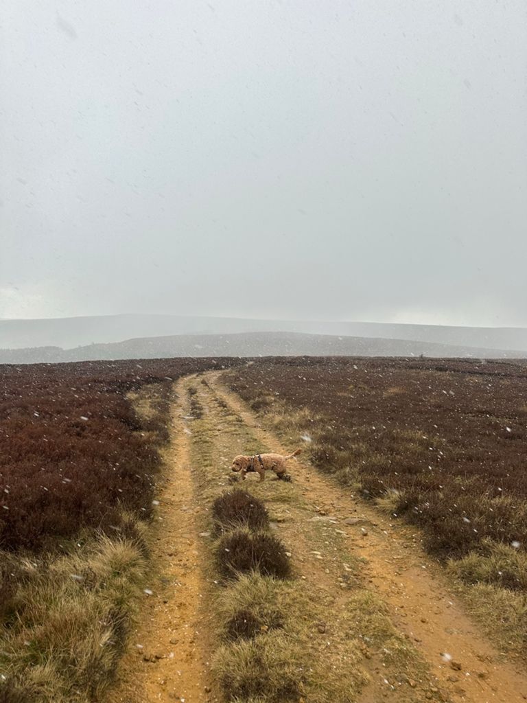 Lordstones Bigger Loop-1