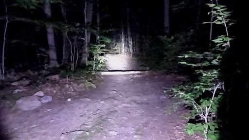 www.strava.com