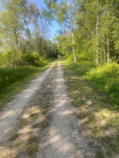 Ahnapee State Trail. Beautiful, quick and shaded!