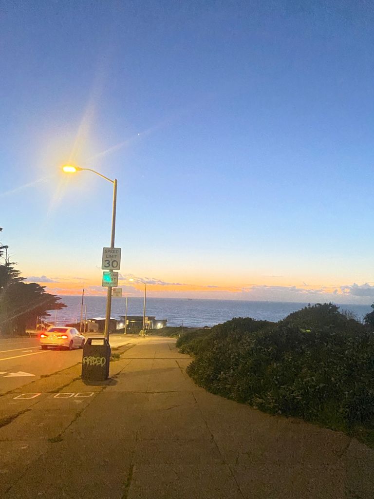 Butterlap (Presidio & Golden Gate Park) photo 113