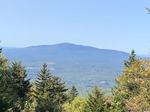 Monadnock view