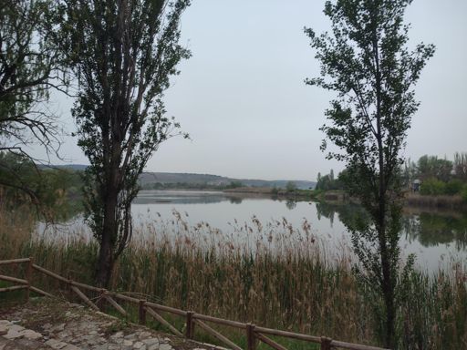 Laguna del Raso. Velilla de San Antonio