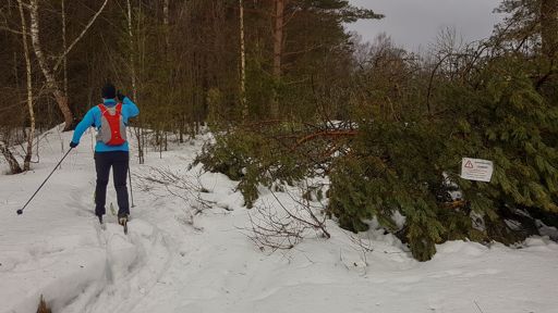 "Внимание! Лыжня! Строго запрещен проезд колесной техники! Проход только пешком, на лыжах, снегоходах."