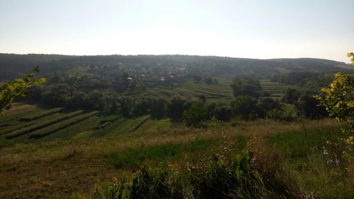 Добрий ранок Лучка