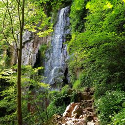Rando Schneeberg Nideck