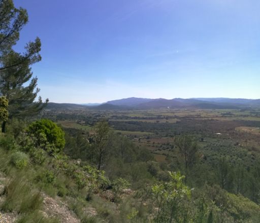 Vue en montant vers Rocbaron