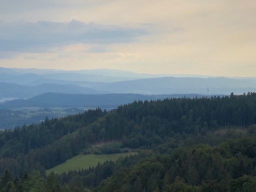 Gibt’s hier auch Autos?