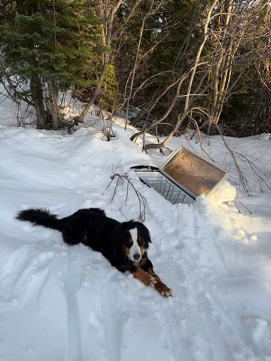 I think Alta was disappointed that the fridge was empty 