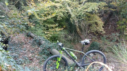 Και το καλύτερο όταν τελειώνεις...!!! Απολαυστική φυσική τουαλέτα.   . ! ! ! 👌