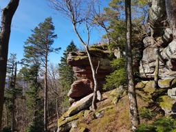 Saverne Ochstenstein