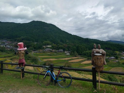 どうつっこめば？