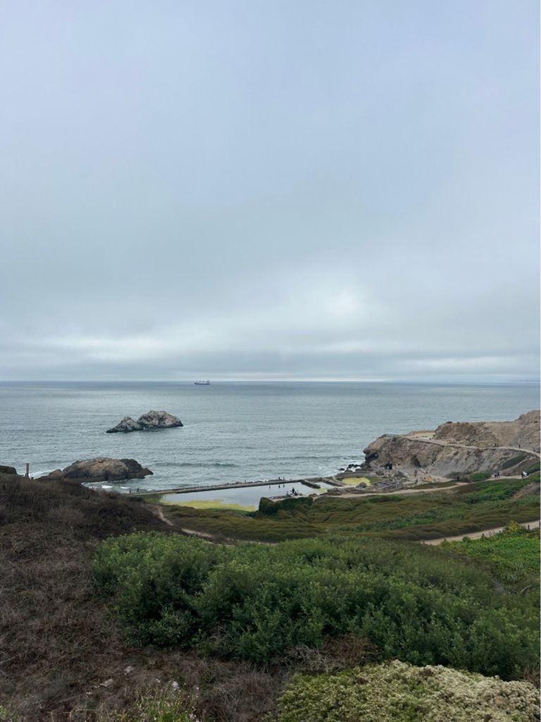 Butterlap (Presidio & Golden Gate Park)的照片 188